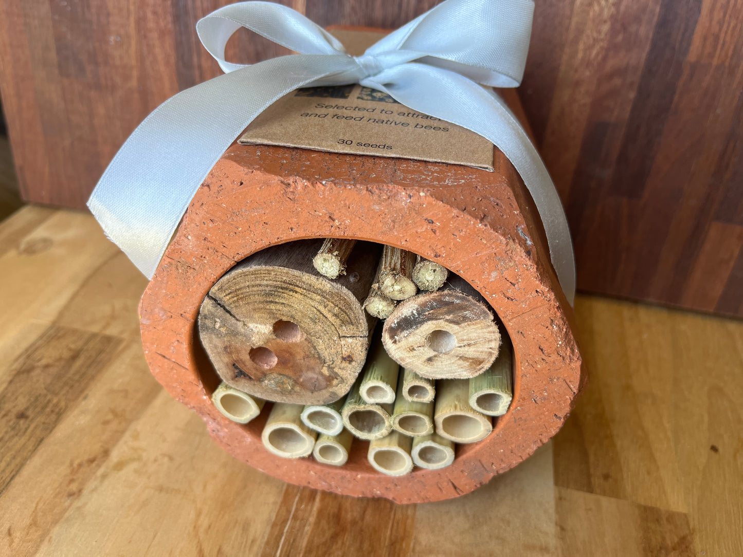 Native bee hotel