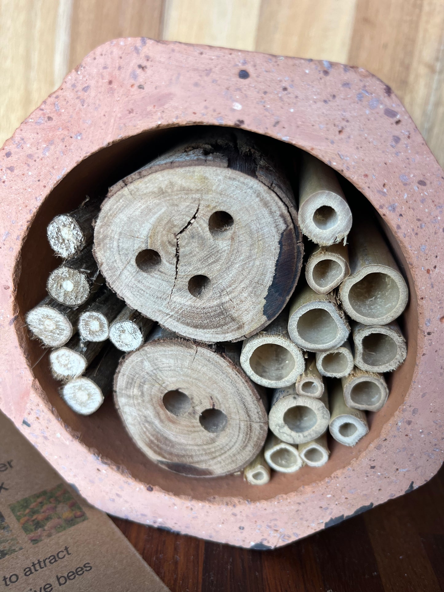 Native bee hotel
