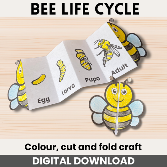 Bee life cycle craft printable