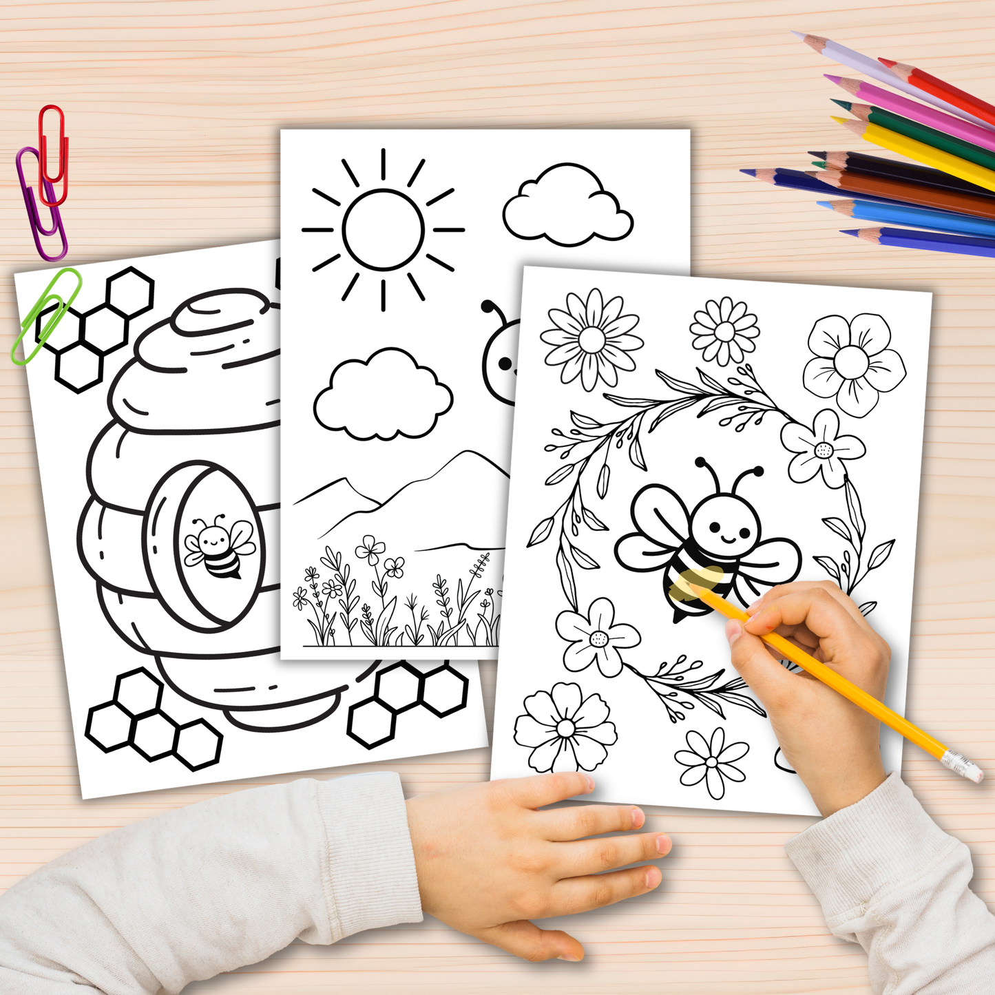 Bee activity pack printable 8-12 years