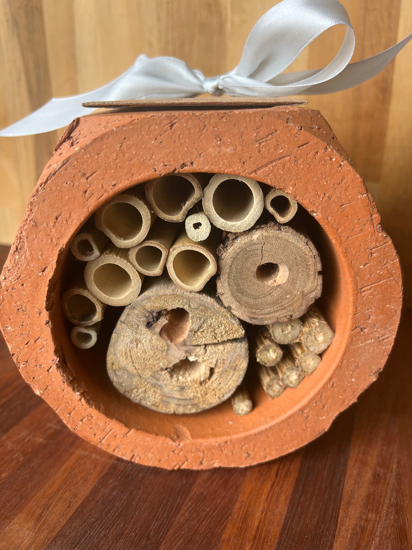 Native bee hotel