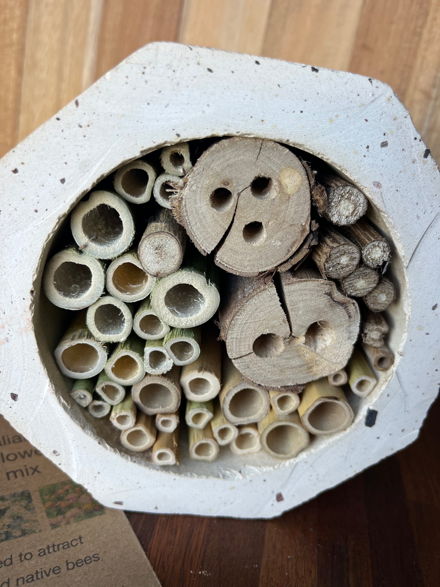 Native bee hotel